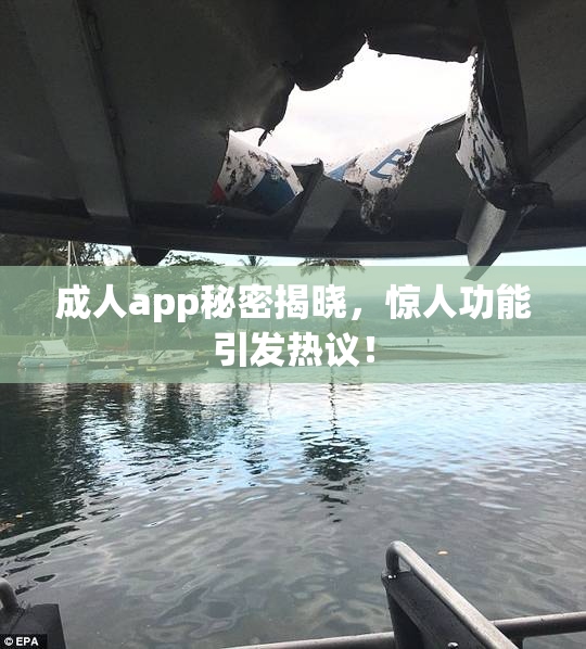 成人app秘密揭晓，惊人功能引发热议！