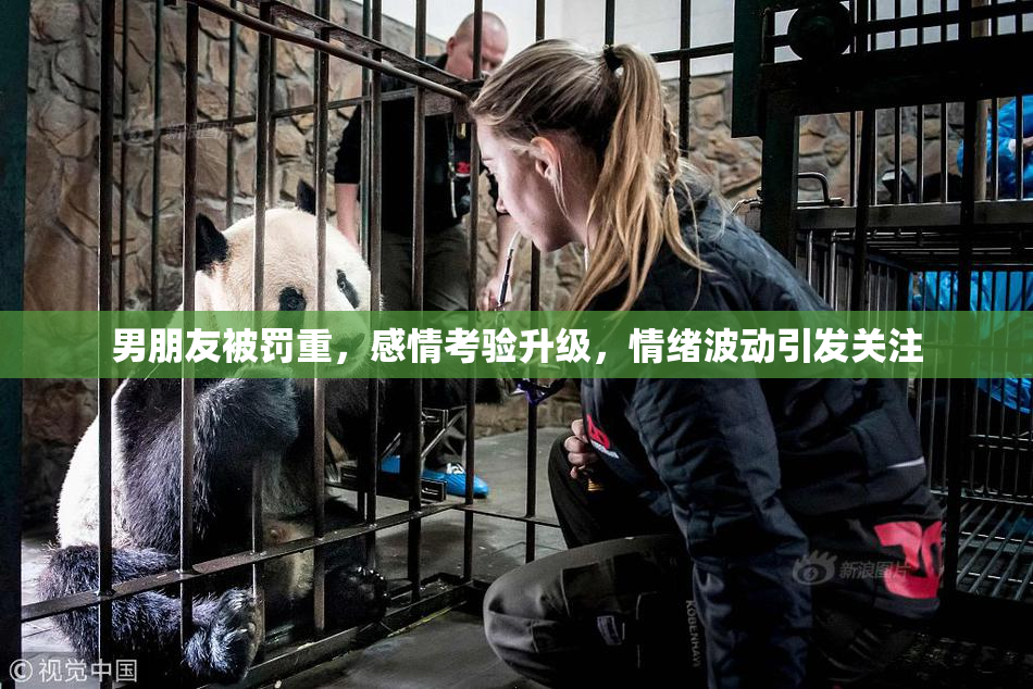 男朋友被罚重，感情考验升级，情绪波动引发关注