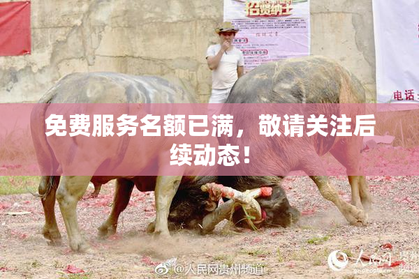 免费服务名额已满，敬请关注后续动态！