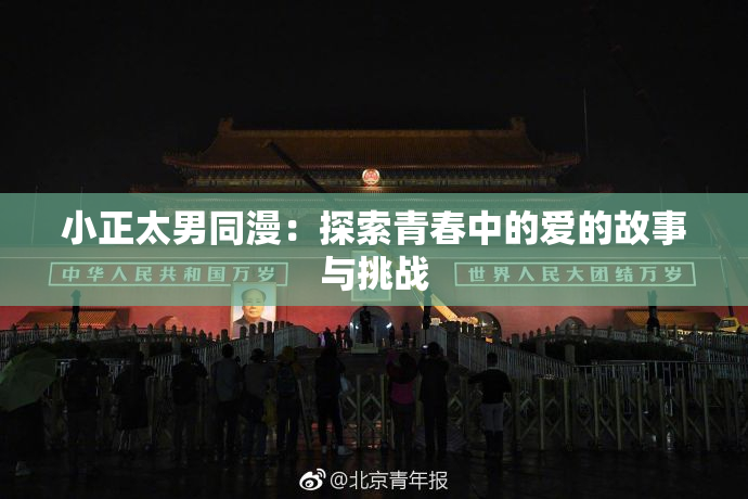 小正太男同漫：探索青春中的爱的故事与挑战