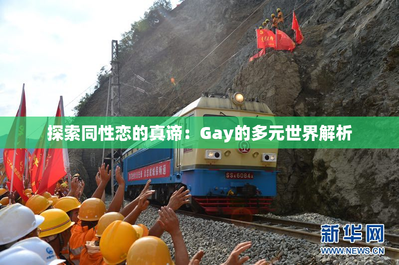 探索同性恋的真谛：Gay的多元世界解析