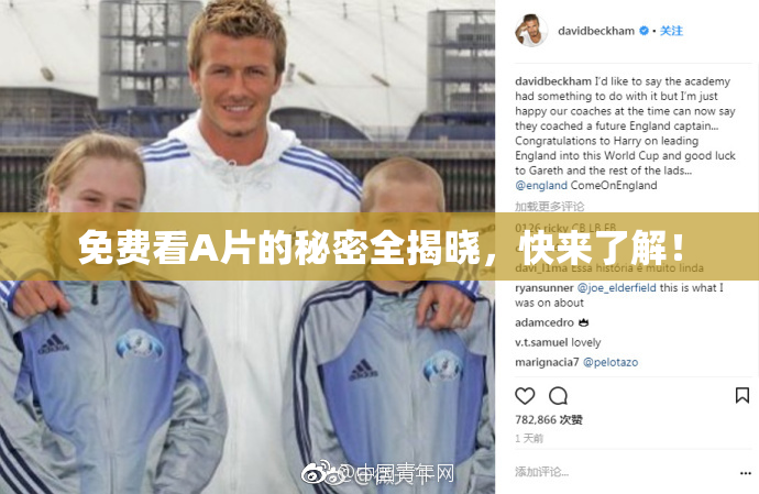 免费看A片的秘密全揭晓，快来了解！