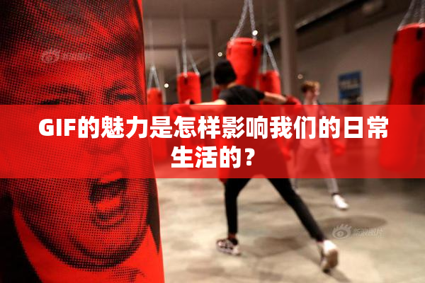 GIF的魅力是怎样影响我们的日常生活的？
