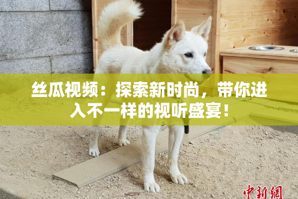 丝瓜视频：探索新时尚，带你进入不一样的视听盛宴！