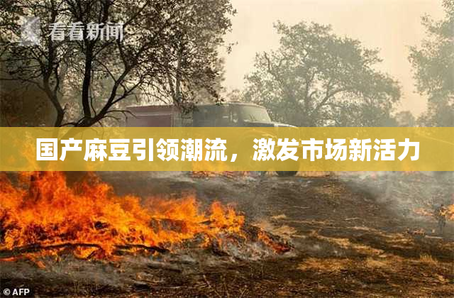 国产麻豆引领潮流，激发市场新活力