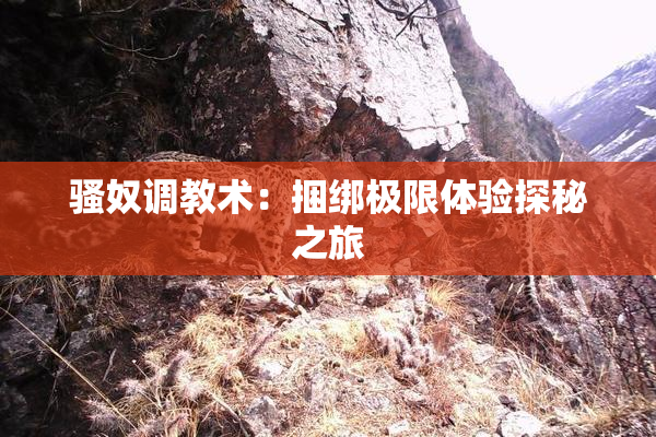 骚奴调教术：捆绑极限体验探秘之旅
