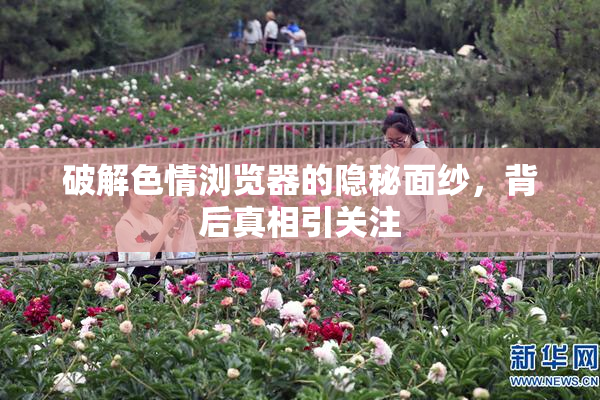 破解色情浏览器的隐秘面纱，背后真相引关注