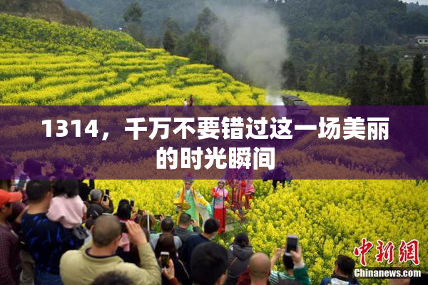 1314，千万不要错过这一场美丽的时光瞬间