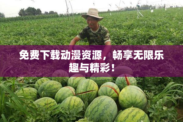 免费下载动漫资源，畅享无限乐趣与精彩！