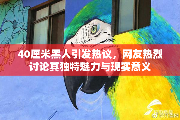 40厘米黑人引发热议，网友热烈讨论其独特魅力与现实意义
