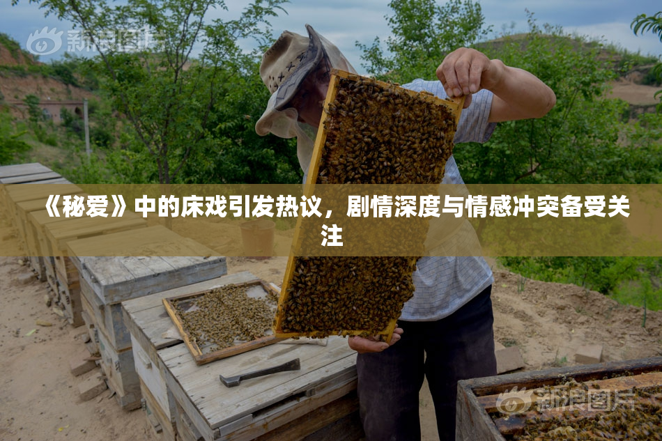 《秘爱》中的床戏引发热议，剧情深度与情感冲突备受关注