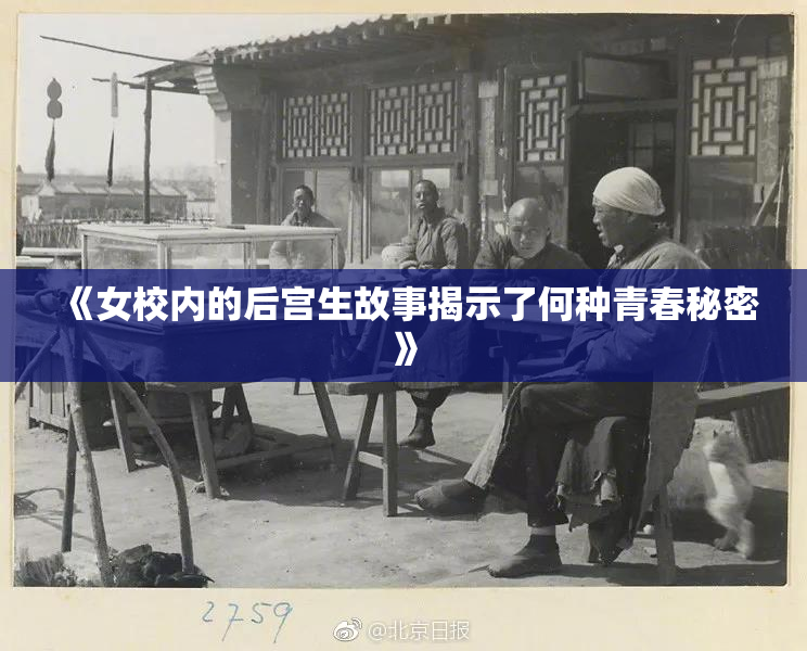 《女校内的后宫生故事揭示了何种青春秘密》