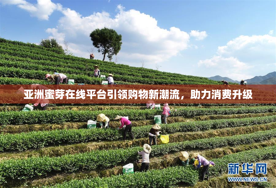 亚洲蜜芽在线平台引领购物新潮流，助力消费升级