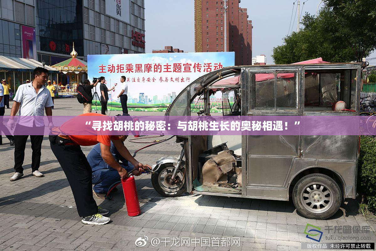 “寻找胡桃的秘密：与胡桃生长的奥秘相遇！”