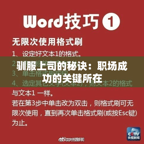 驯服上司的秘诀：职场成功的关键所在