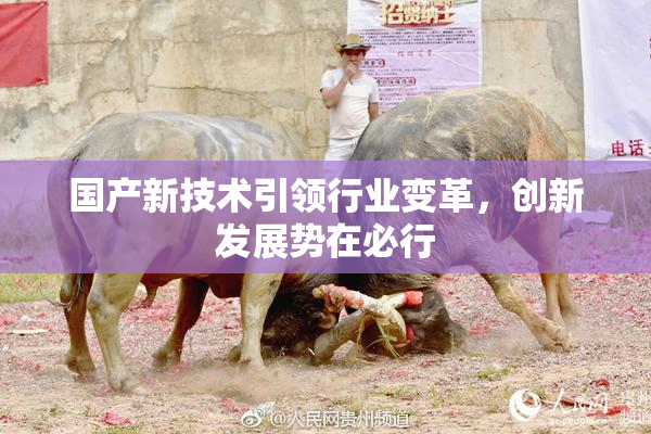 国产新技术引领行业变革，创新发展势在必行