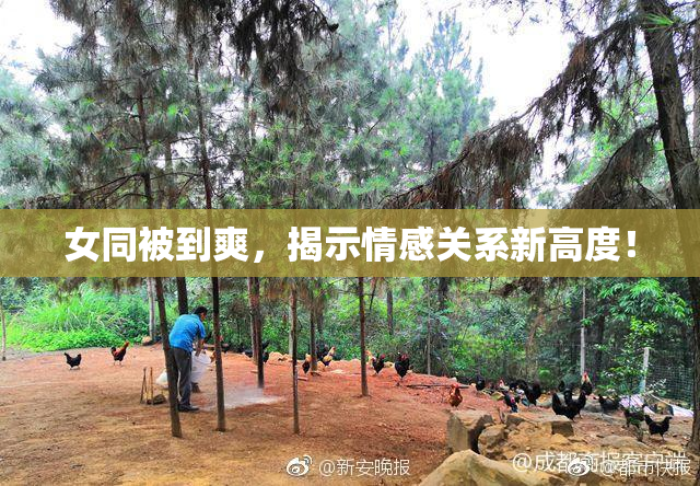 女同被到爽，揭示情感关系新高度！