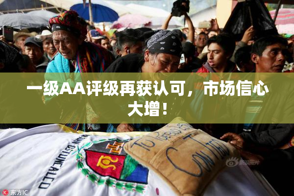 一级AA评级再获认可，市场信心大增！