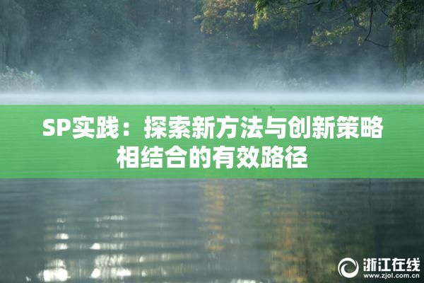 SP实践：探索新方法与创新策略相结合的有效路径