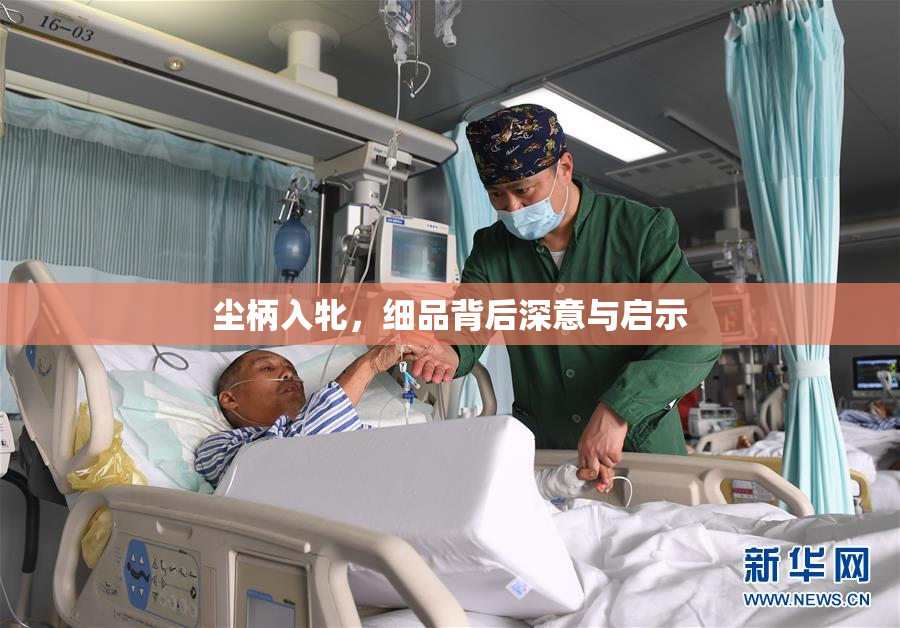 尘柄入牝，细品背后深意与启示