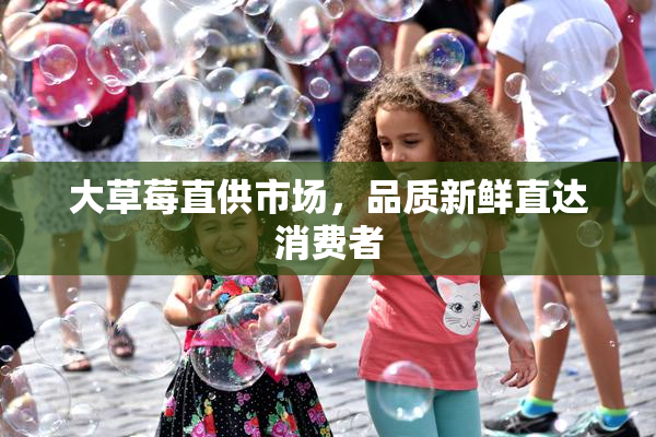 大草莓直供市场，品质新鲜直达消费者