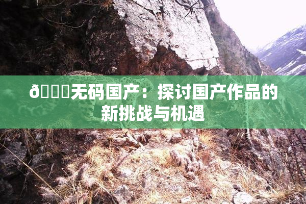 🔞无码国产：探讨国产作品的新挑战与机遇