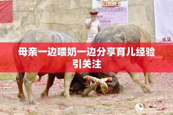 母亲一边喂奶一边分享育儿经验引关注