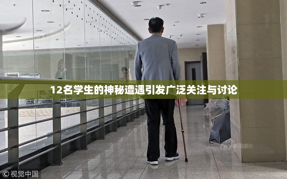 12名学生的神秘遭遇引发广泛关注与讨论