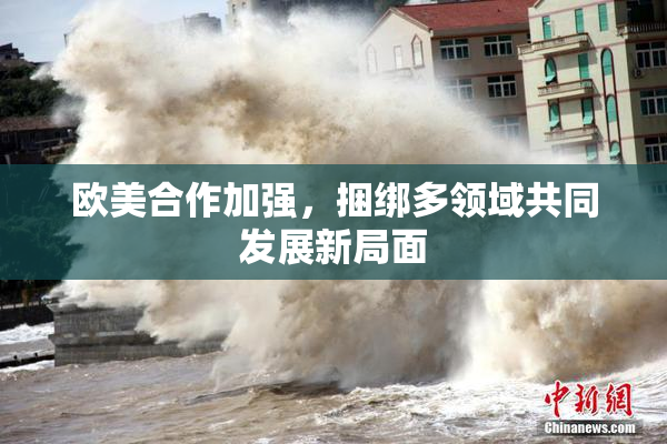 欧美合作加强，捆绑多领域共同发展新局面