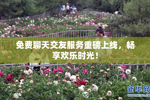 免费聊天交友服务重磅上线，畅享欢乐时光！