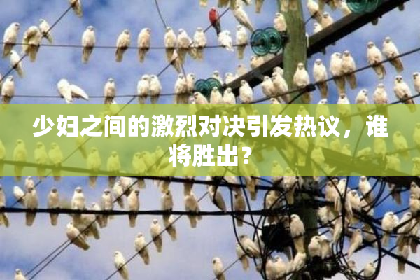 少妇之间的激烈对决引发热议，谁将胜出？
