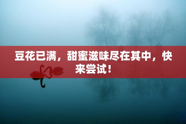 豆花已满，甜蜜滋味尽在其中，快来尝试！