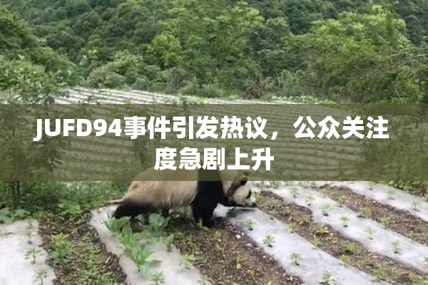 JUFD94事件引发热议，公众关注度急剧上升
