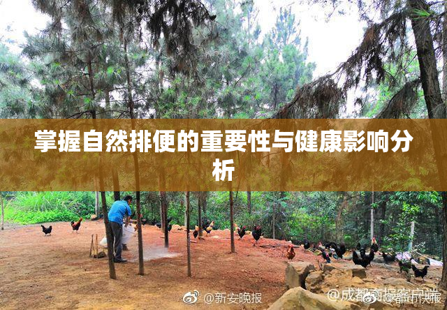 掌握自然排便的重要性与健康影响分析