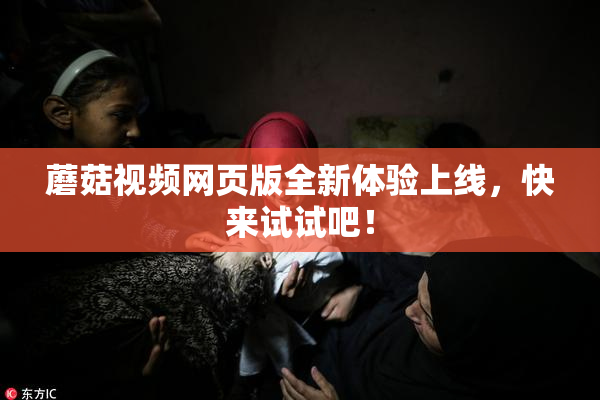 蘑菇视频网页版全新体验上线，快来试试吧！