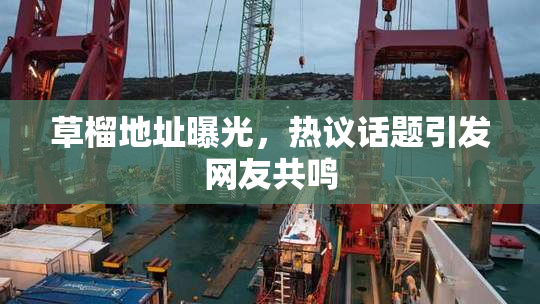 草榴地址曝光，热议话题引发网友共鸣