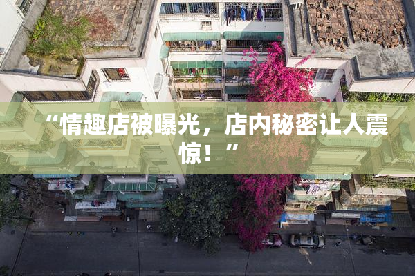 “情趣店被曝光，店内秘密让人震惊！”