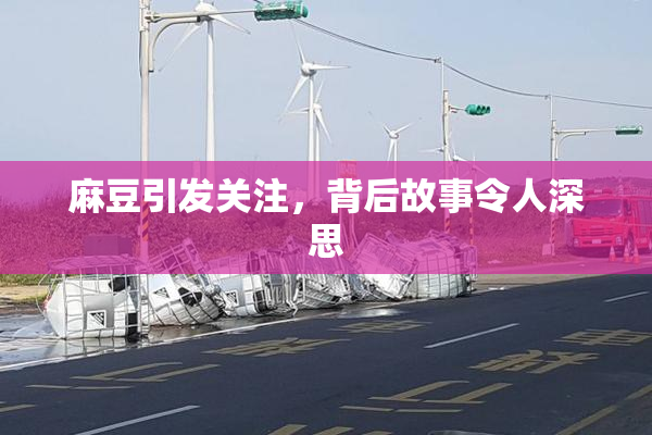 麻豆引发关注，背后故事令人深思