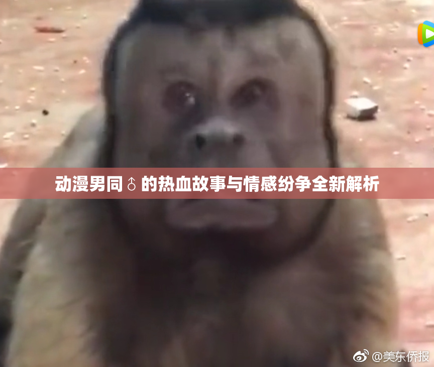 动漫男同♂的热血故事与情感纷争全新解析