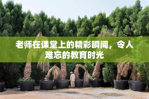 老师在课堂上的精彩瞬间，令人难忘的教育时光