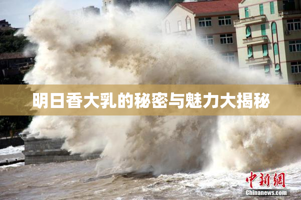 明日香大乳的秘密与魅力大揭秘