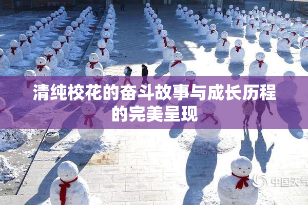清纯校花的奋斗故事与成长历程的完美呈现