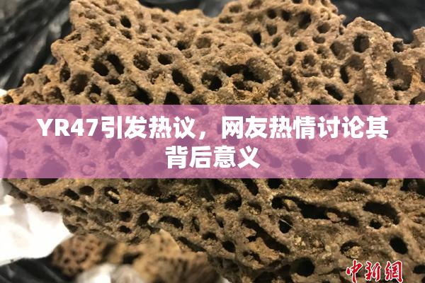 YR47引发热议，网友热情讨论其背后意义