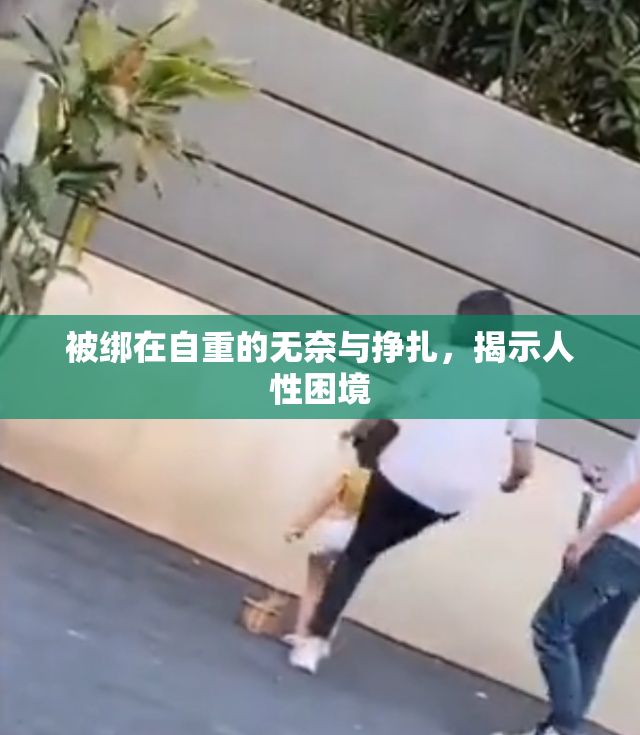 被绑在自重的无奈与挣扎，揭示人性困境