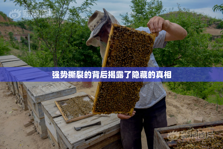 强势撕裂的背后揭露了隐藏的真相