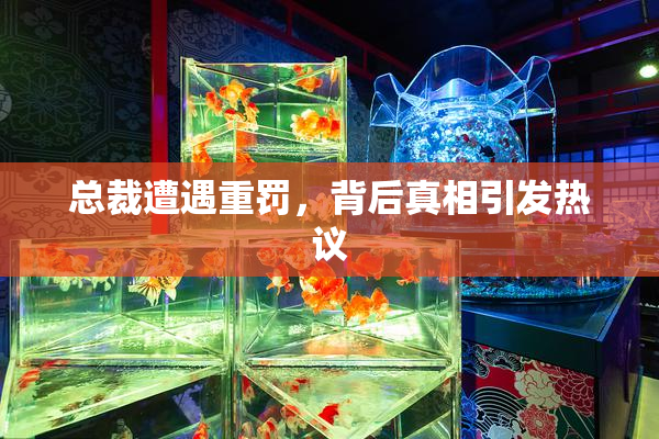总裁遭遇重罚，背后真相引发热议