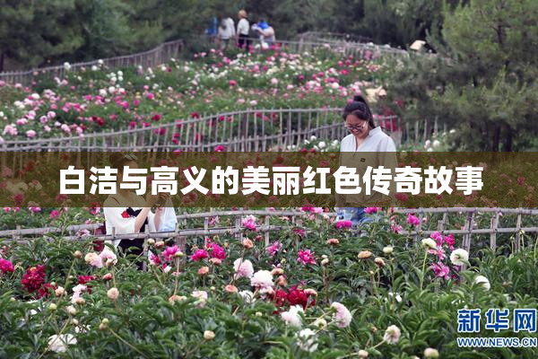 白洁与高义的美丽红色传奇故事