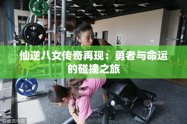 仙逆八女传奇再现：勇者与命运的碰撞之旅