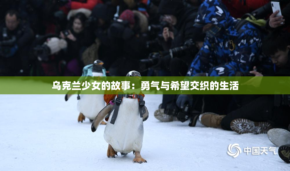 乌克兰少女的故事：勇气与希望交织的生活