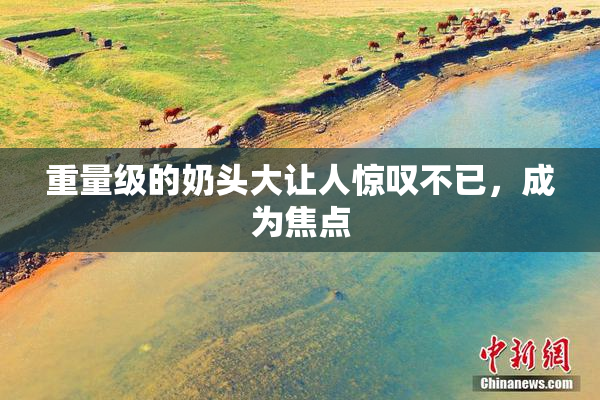 重量级的奶头大让人惊叹不已，成为焦点